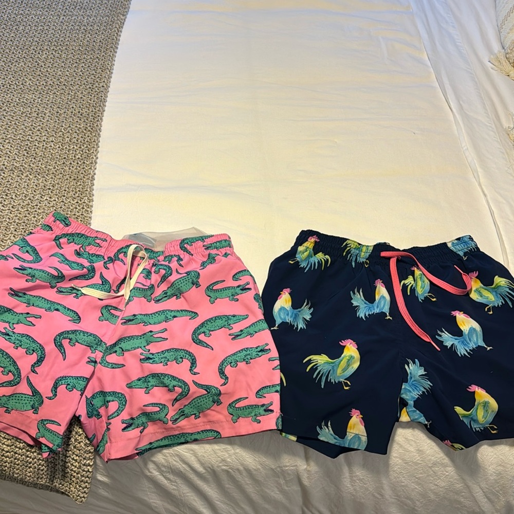 Chubbie Swim Trunks